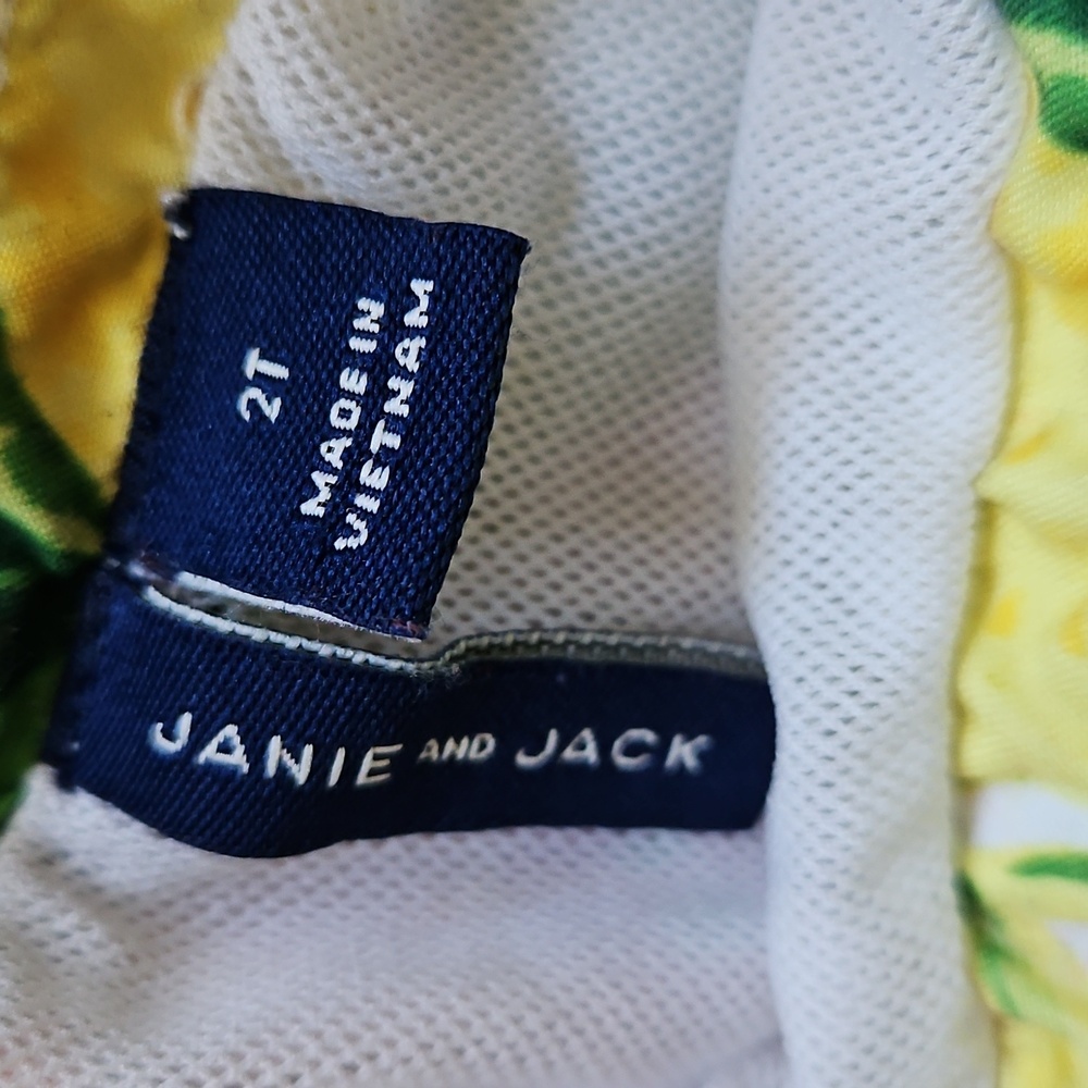 Janie And Jack Boys Tropical Fruit Swim Trunks Size 2T‎ - Picture 11 of 11